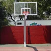 sistema fijo profesional de basquetbol
