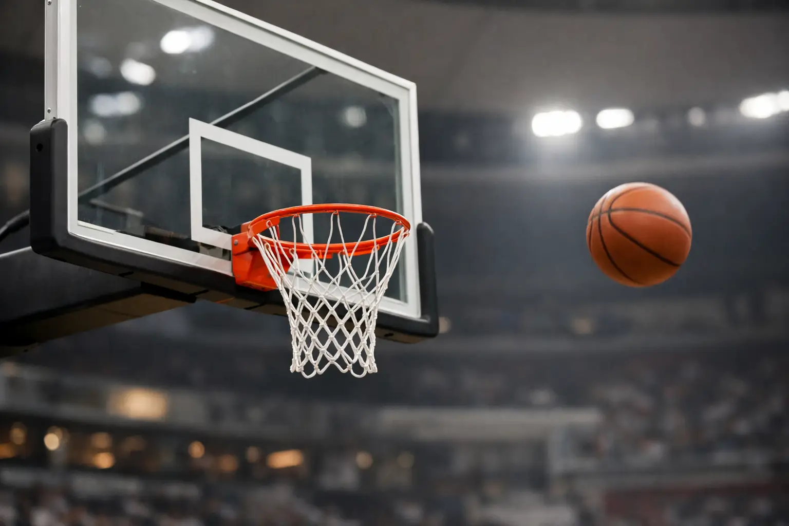 Tablero de basquetbol profesional: qué elegir